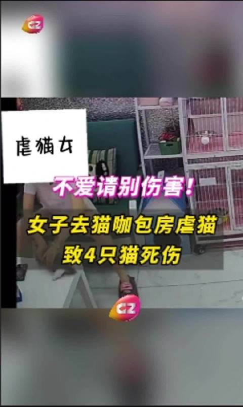 第456页