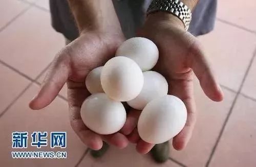 港澳新闻 第23页